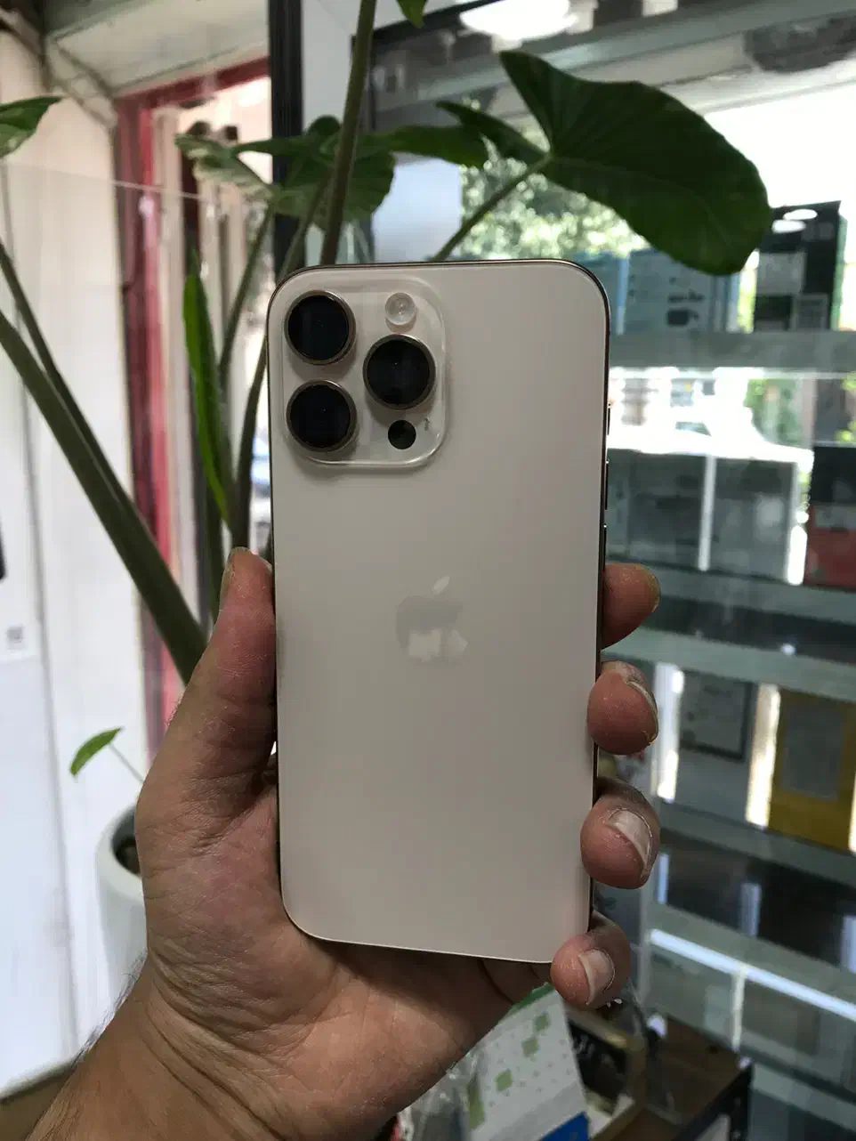 iPhone 16promax 256 zda پک اصلی|موبایل|شیراز, فخرآباد (دروازه کازرون)|دیوار