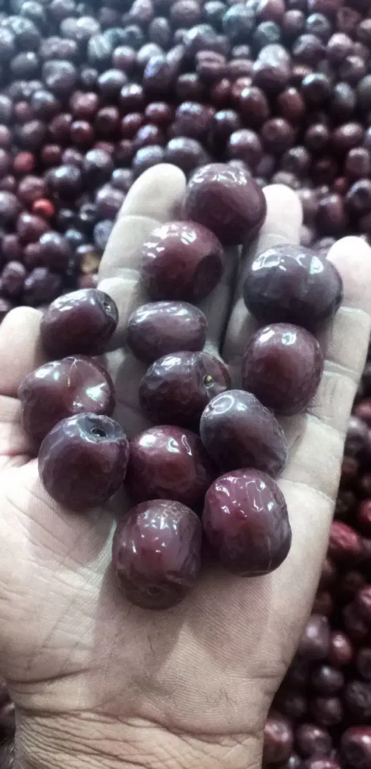 ۳ تن عناب فوق العاده درجه یک تازه بیرجند|خوردنی و آشامیدنی|جلگه ماژان, |دیوار