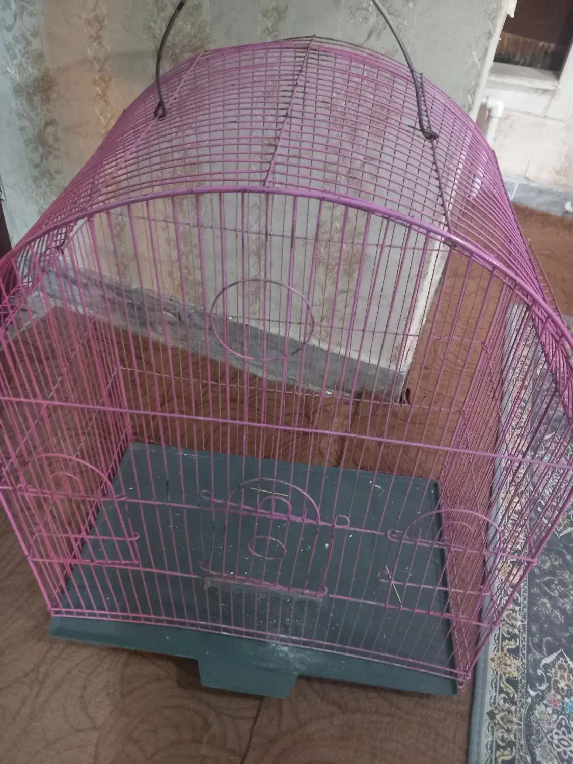 قفس|لوازم جانبی حیوانات|بروجرد, |دیوار