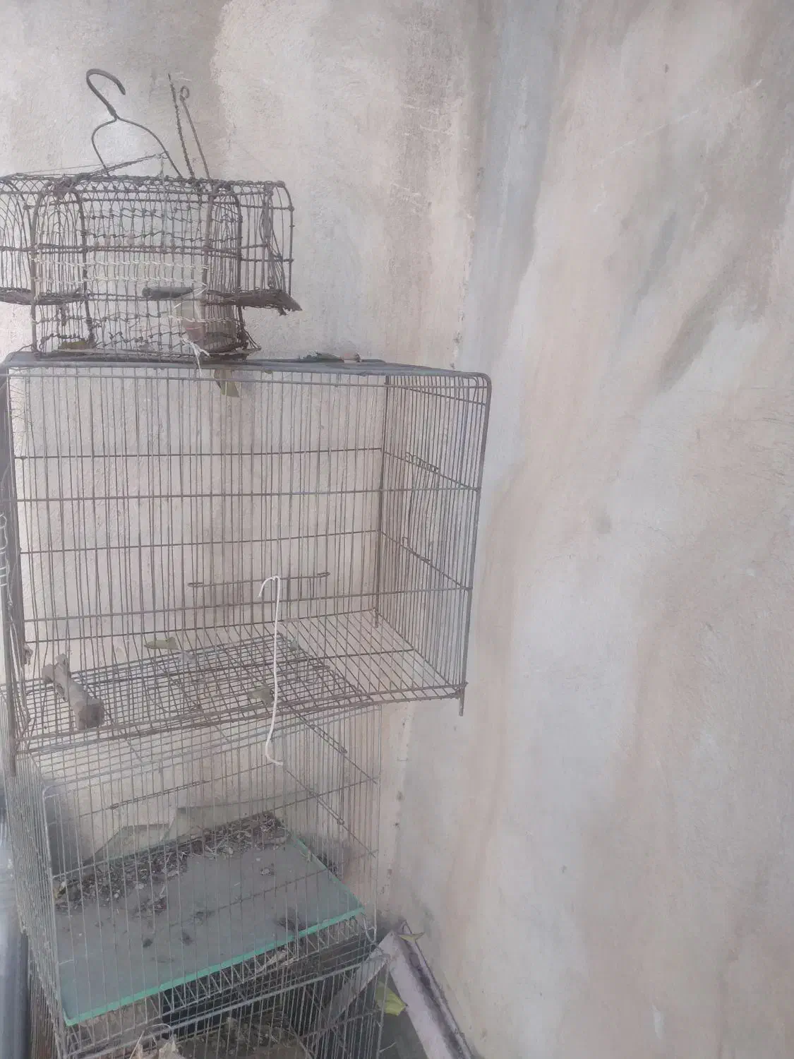 فروش تعدادی قفس|لوازم جانبی حیوانات|تویسرکان, |دیوار