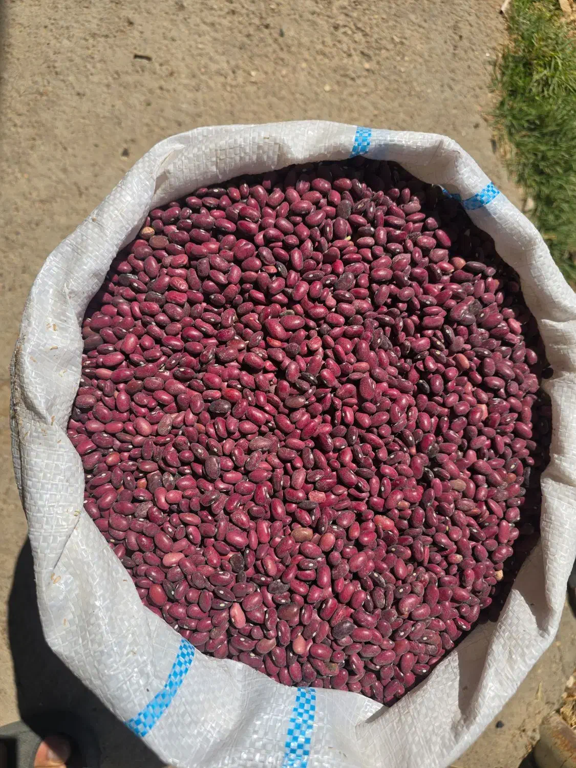 لوبیا قرمز محلی بشرط|خوردنی و آشامیدنی|شیراز, قدوسی شرقی|دیوار