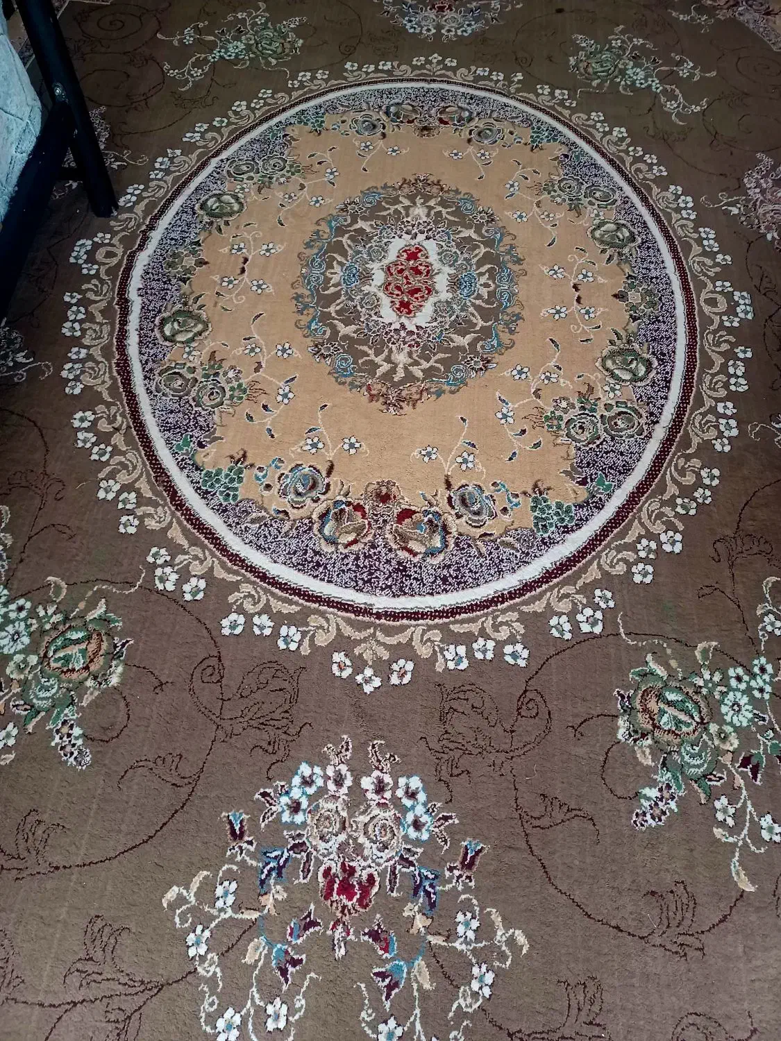 یک جفت فرش ۱۲ متری|فرش|شیراز, گویم|دیوار