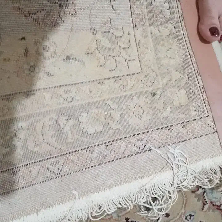 قالی تمام نخ کرم در حد نو  شسته نشده هنوز ۳/۵×۲/۵|فرش|کرمان, |دیوار