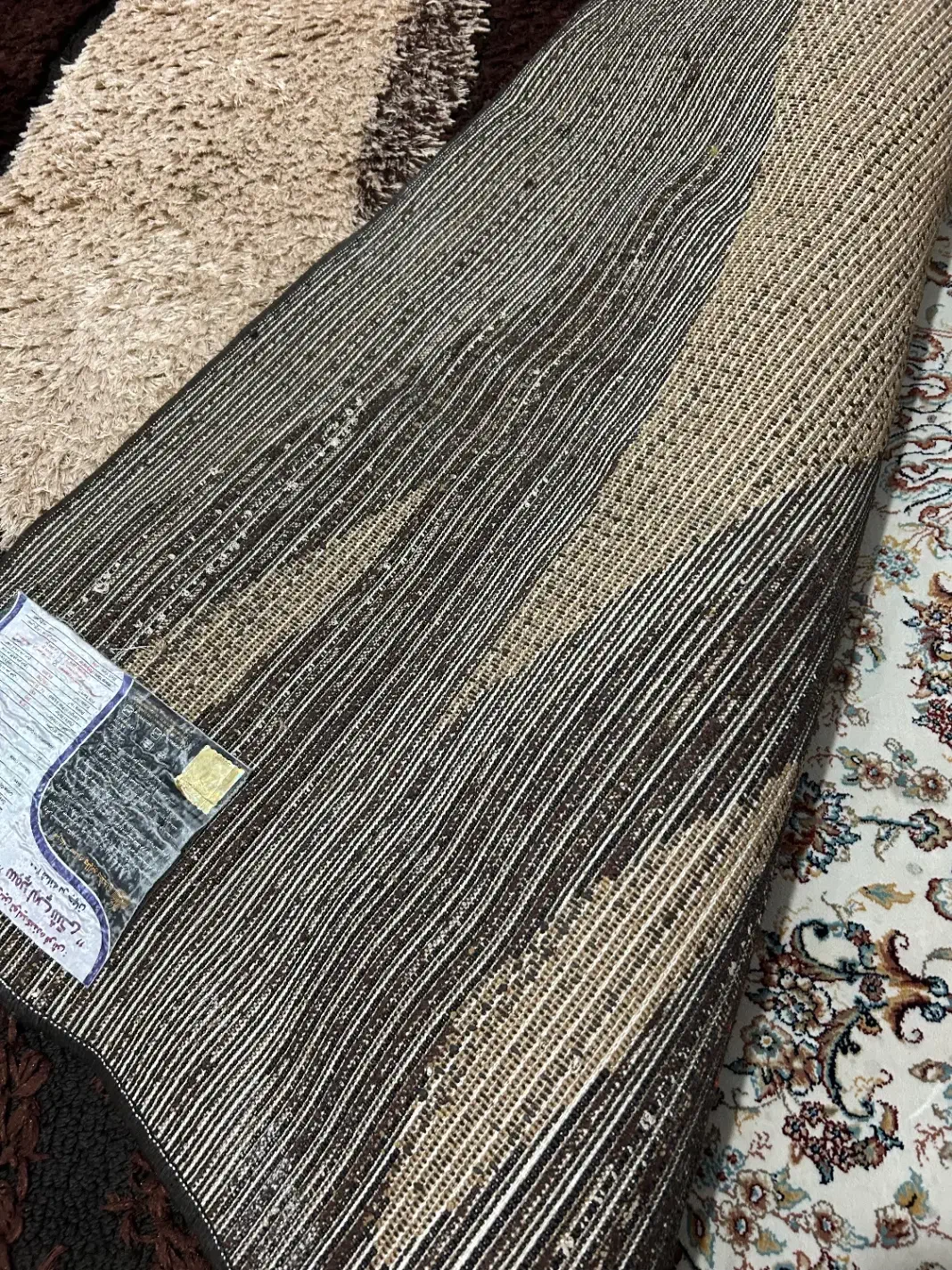 فرش شگی|فرش|رشت, کوی مهر|دیوار