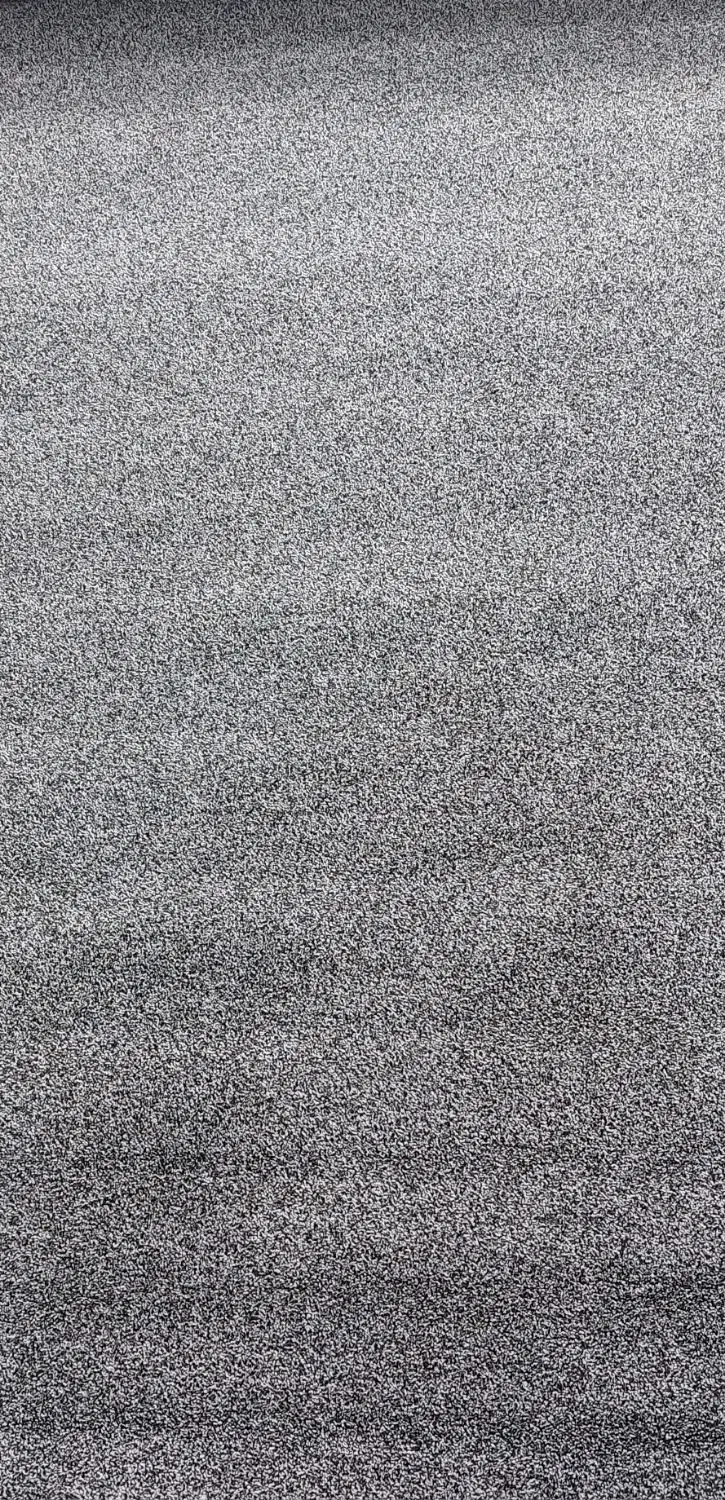 موکت پالاز ۶ متری|موکت|بهشهر, |دیوار