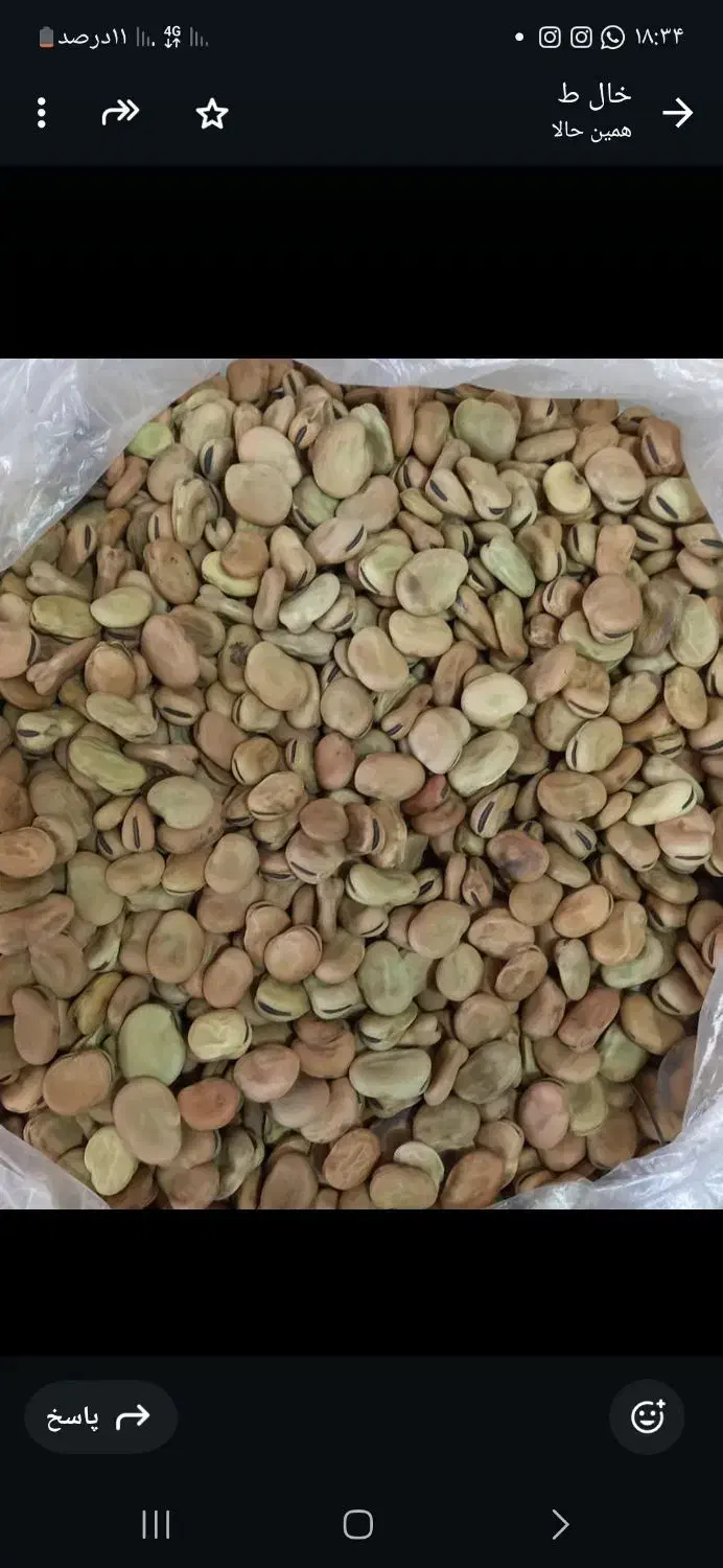 باقاله خشک فسا خوشمزه|عمده‌فروشی|شیراز, ده پیاله|دیوار