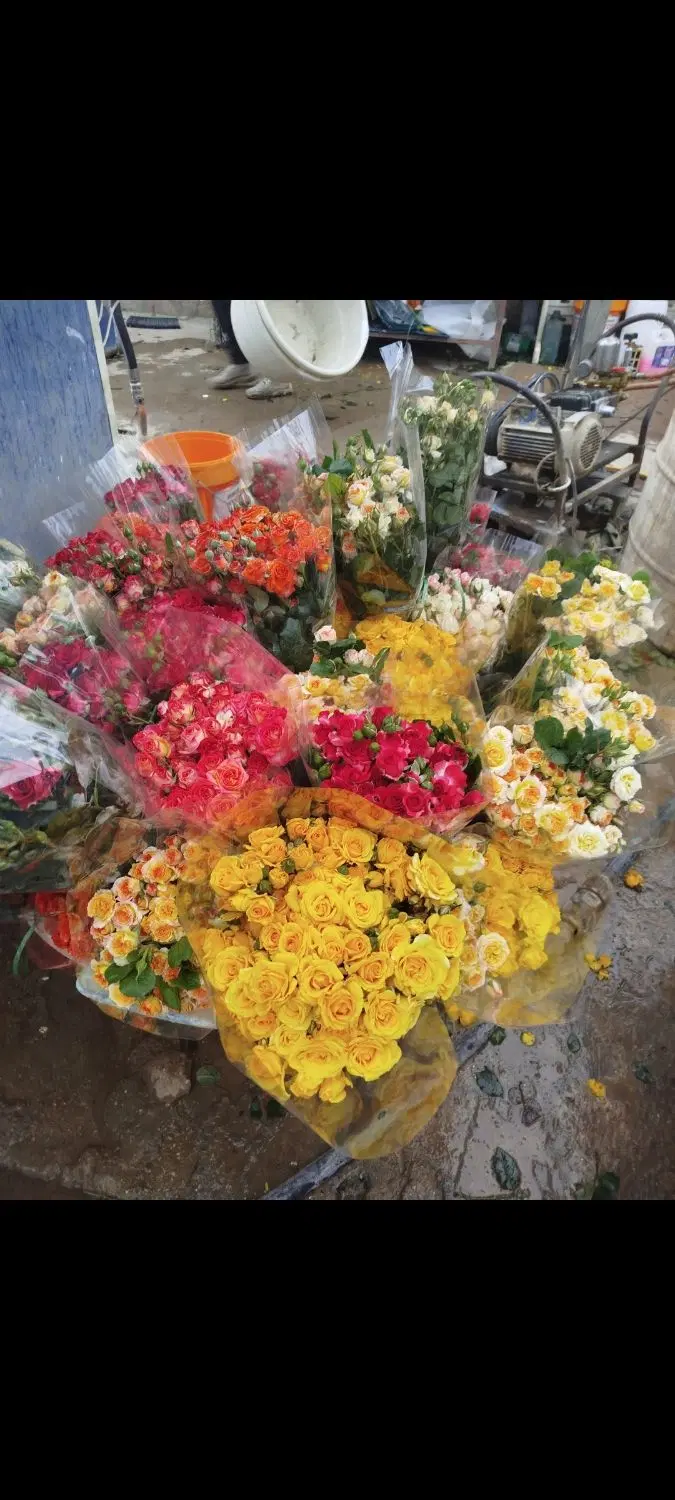 کارگر|استخدام صنعتی، فنی، مهندسی|یاسوج, |دیوار