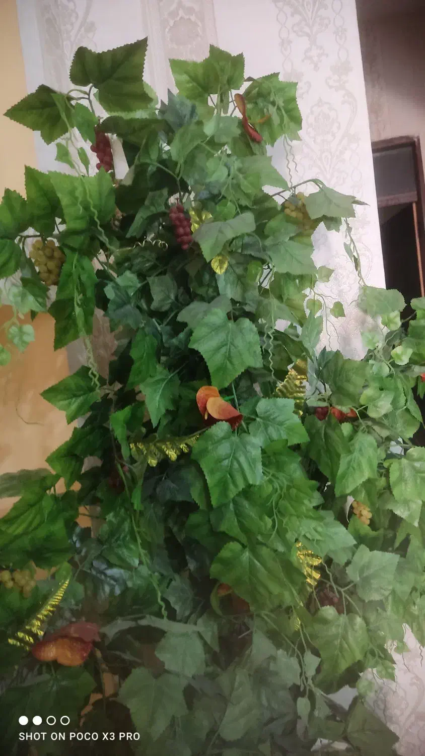 درخت مصنوعی|گل مصنوعی|شوشتر, |دیوار