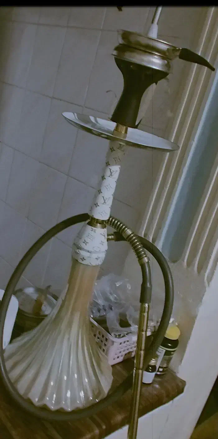 قیلیون عربی نو|کلکسیون و سرگرمی|یاسوج, |دیوار