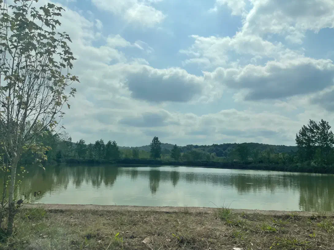 زمین مسکونی سه نبش|فروش زمین و ملک کلنگی|کوار, |دیوار