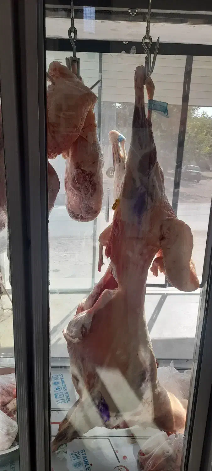 قصابی حمید گلقندشتی|خوردنی و آشامیدنی|نیشابور, فضل|دیوار