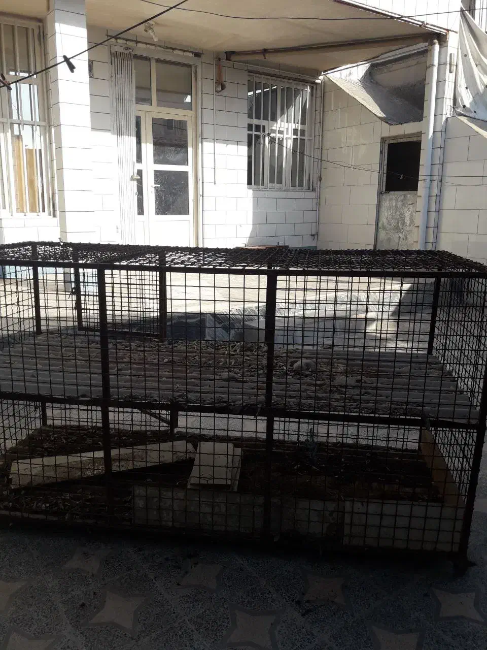 قفسه مرغ دو طبقه|لوازم جانبی حیوانات|دره شهر, |دیوار