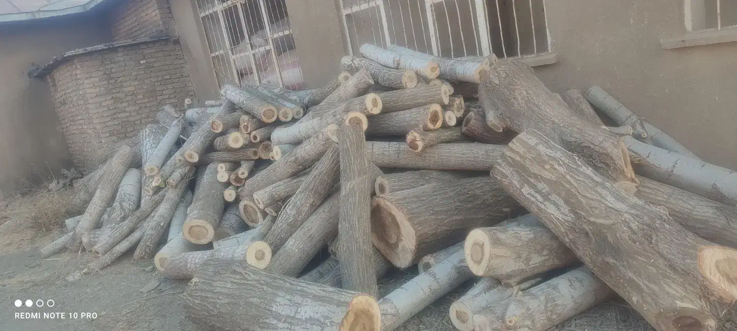خرید انواع چوب خانەهای قدیمی و چوب باغی|خدمات باغبانی و درختکاری|بانه, |دیوار