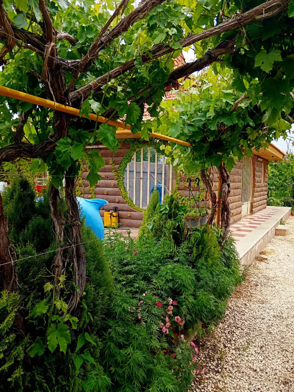 باغ ویلا 1000 متری سرسبز قلعه سفید گلدشت نجفآباد|فروش خانه و ویلا|اصفهان, شاه پسند|دیوار