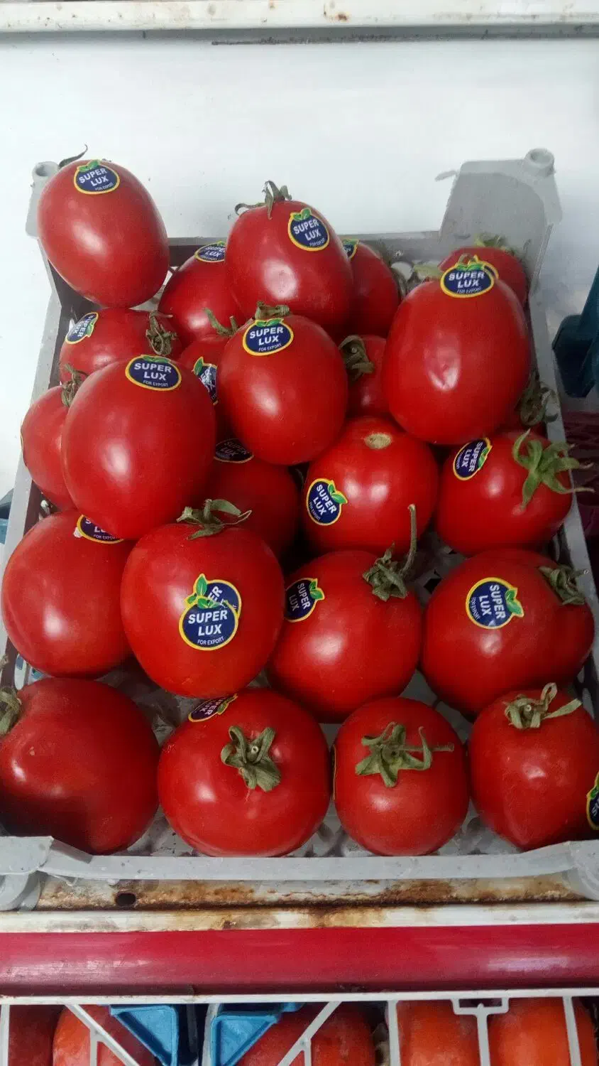 اثطوایی|خوردنی و آشامیدنی|کاشان, میدان کهنه|دیوار