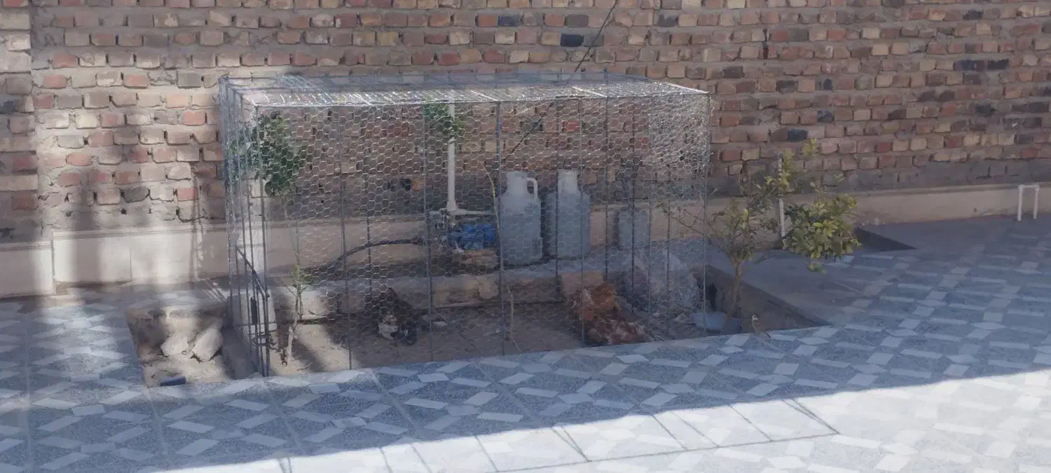 طور و قفس مرغ....|لوازم جانبی حیوانات|خاش, |دیوار