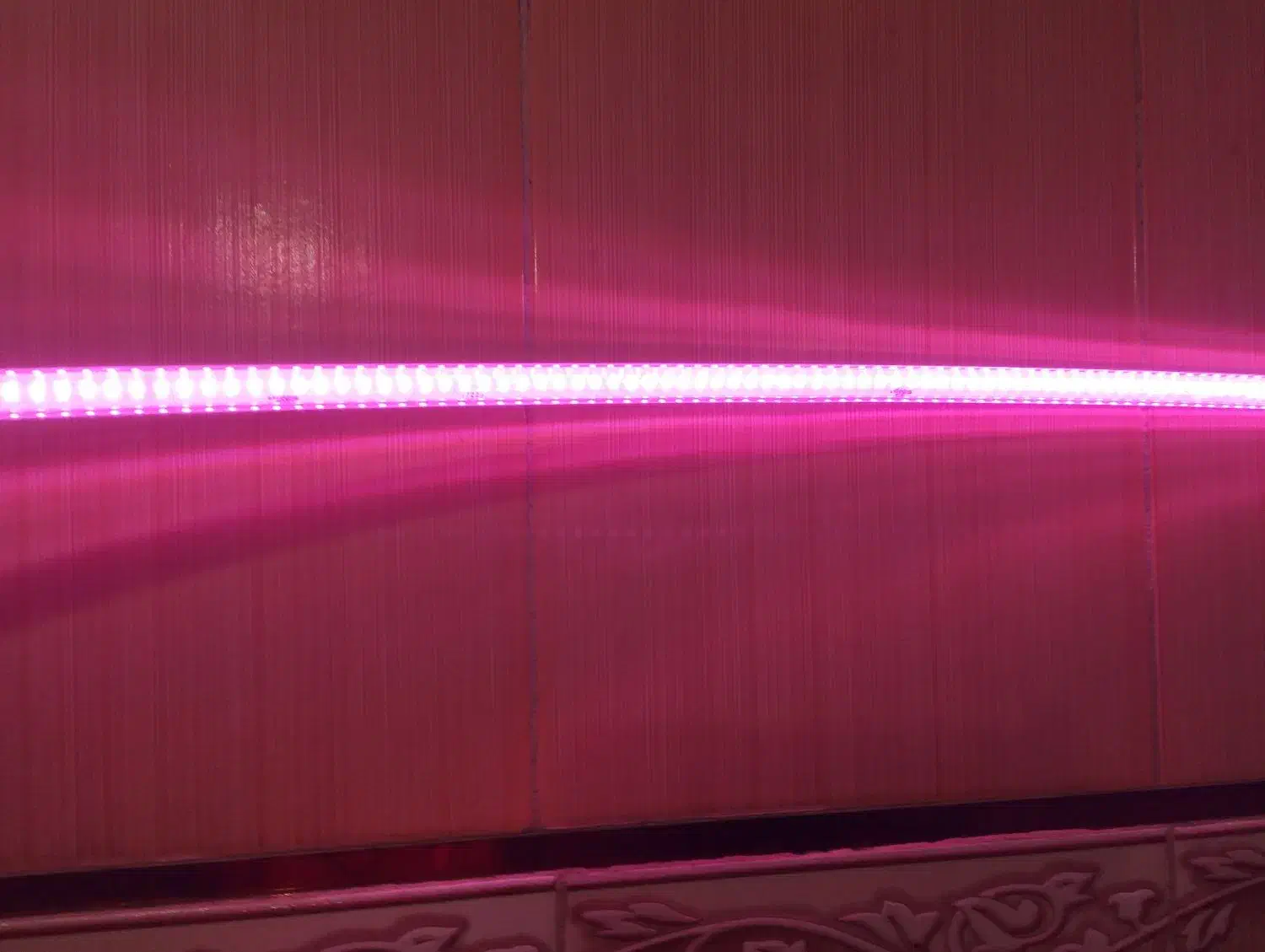 ال ای دی رنگ بنفش و سبز|ریسه و چراغ تزئینی|شوشتر, |دیوار