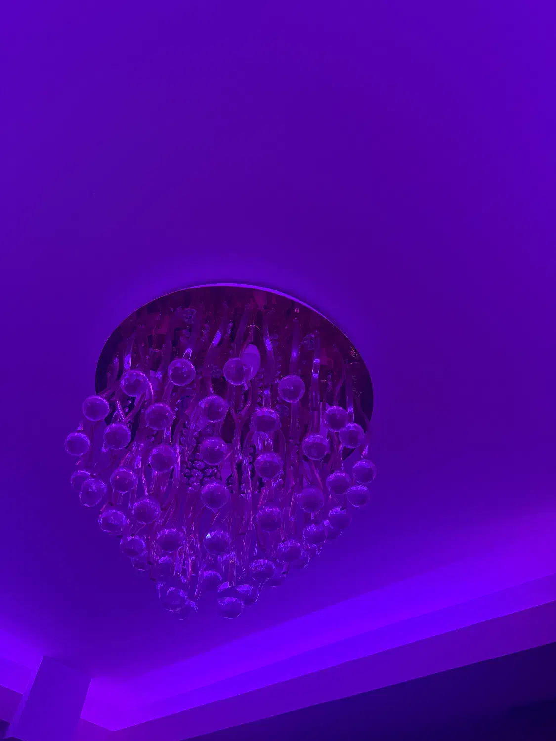 لوستر سقفی|لوستر و چراغ آویز|تبریز, |دیوار