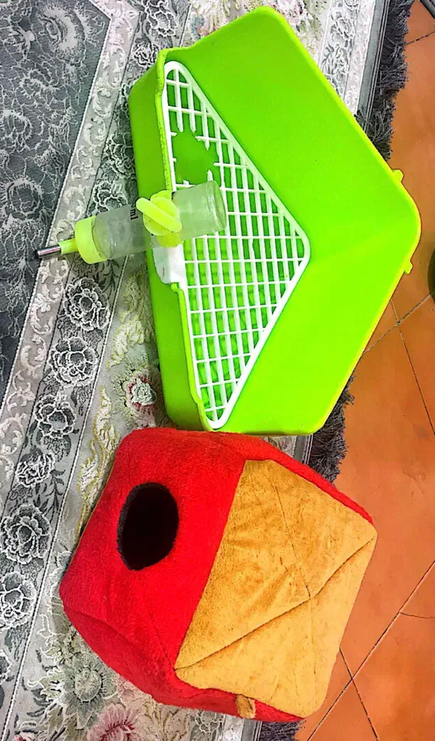 پد ادرار سنجاب|لوازم جانبی حیوانات|تهران, خواجه نصیر طوسی|دیوار