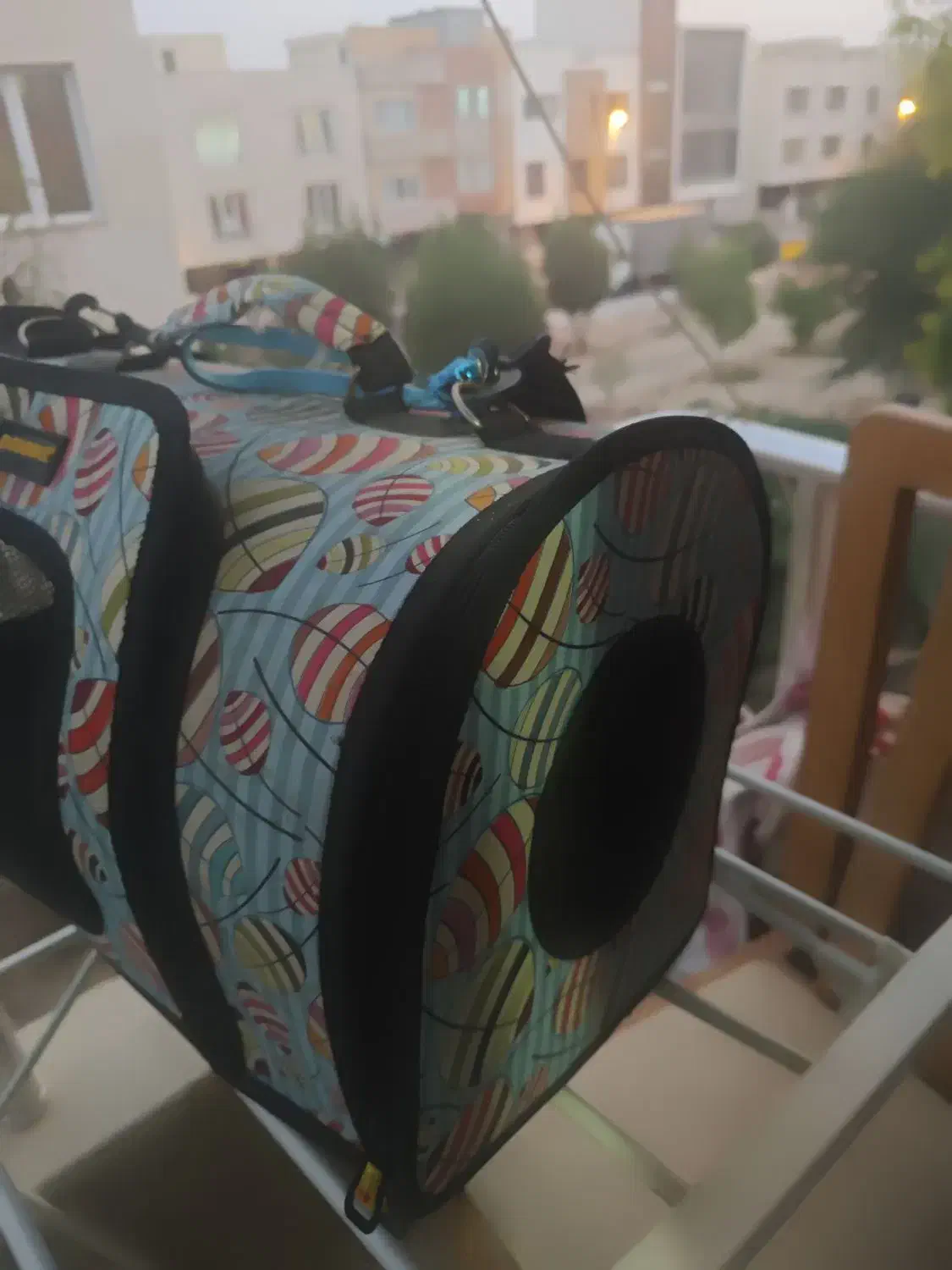 کیف گربه|لوازم جانبی حیوانات|کیش, |دیوار