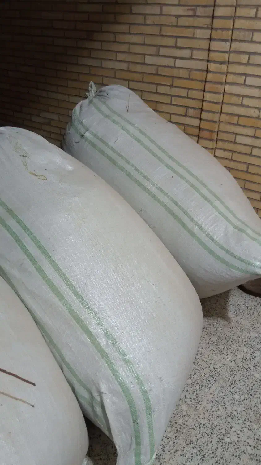 علف خشک خرد کرده تیرماهی|خدمات باغبانی و درختکاری|اشکذر, |دیوار