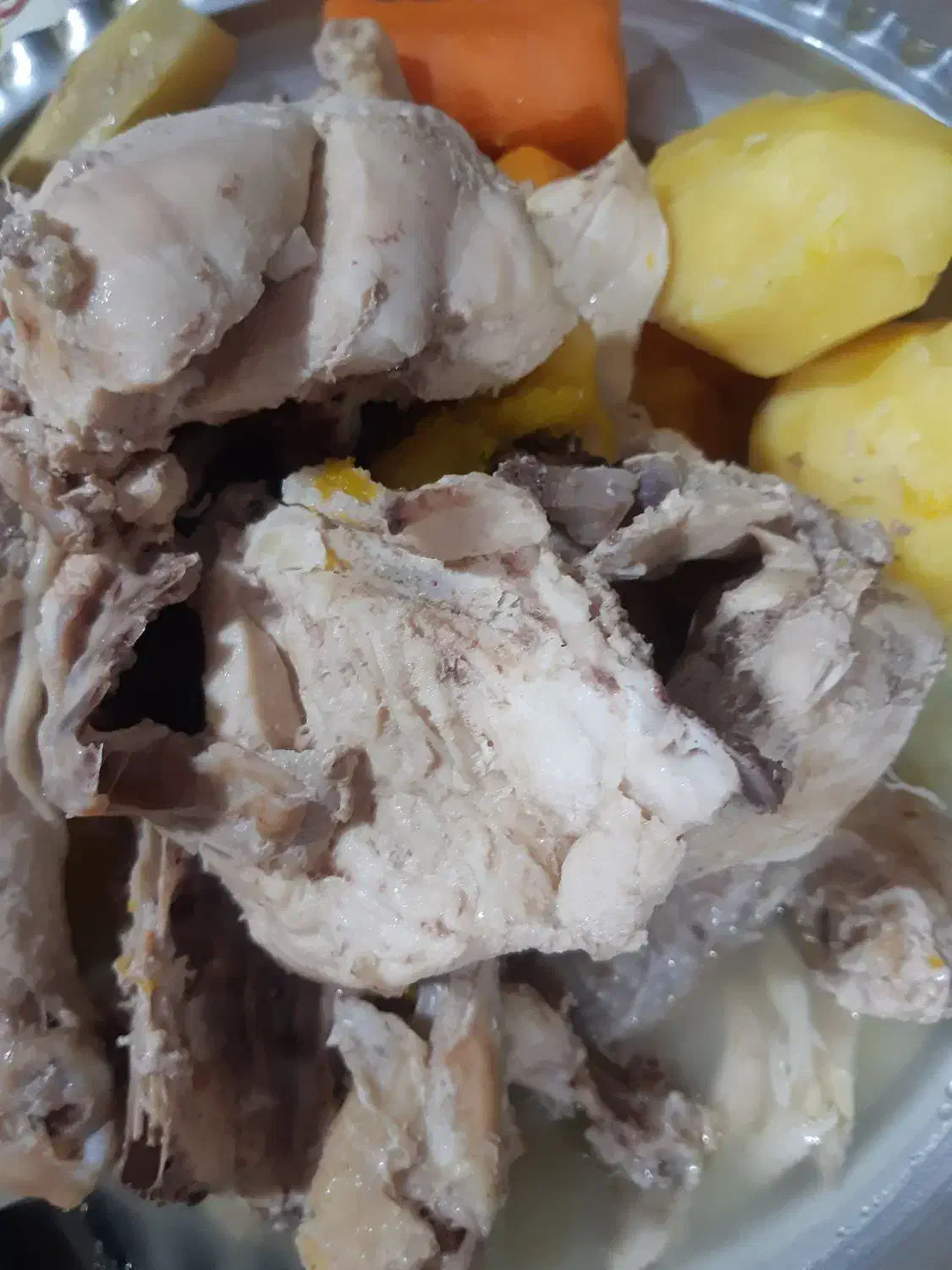 غذای خانگی گربه|لوازم جانبی حیوانات|تهران, سازمان برنامه جنوبی|دیوار