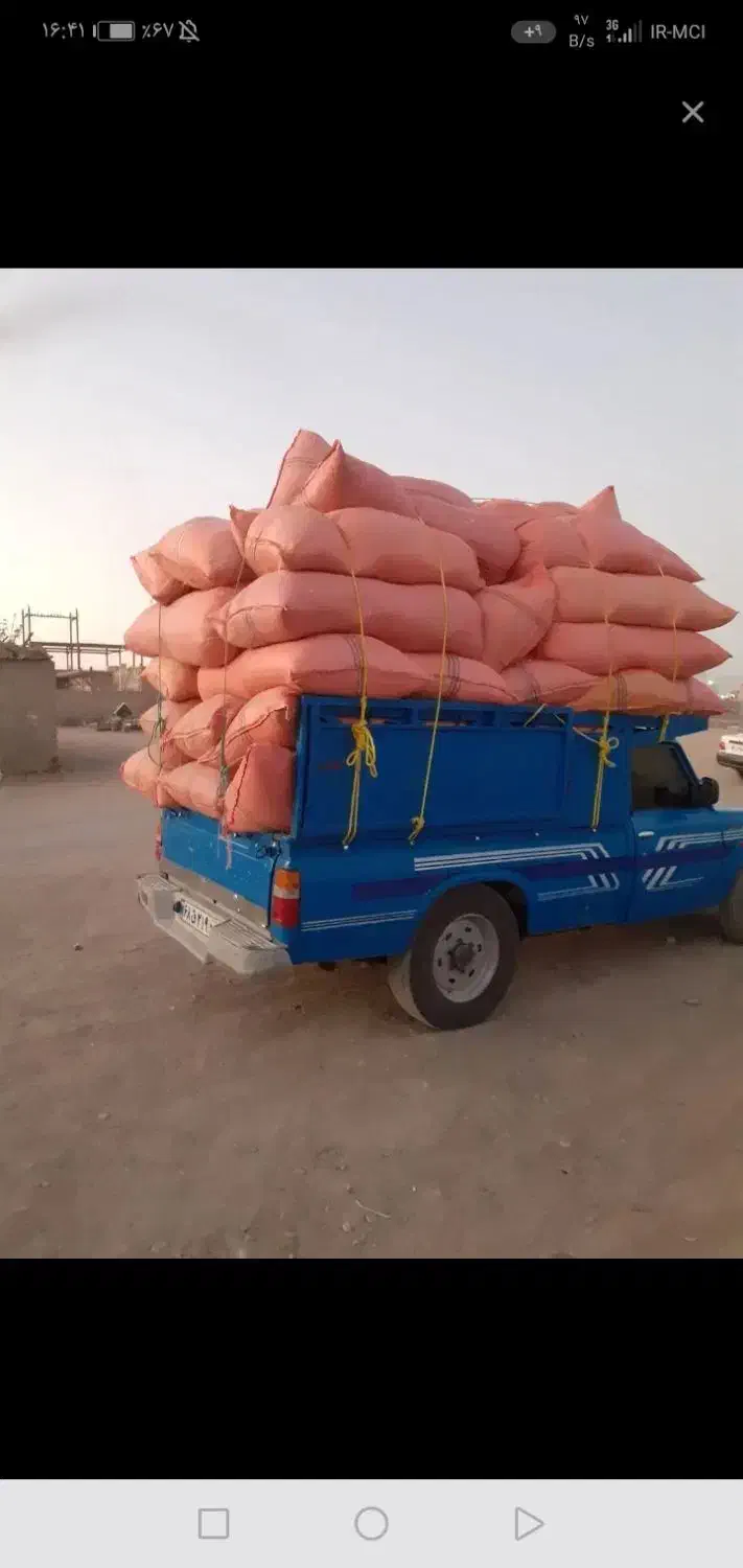 کاه گندم دیم|لوازم جانبی حیوانات|نوبران, |دیوار