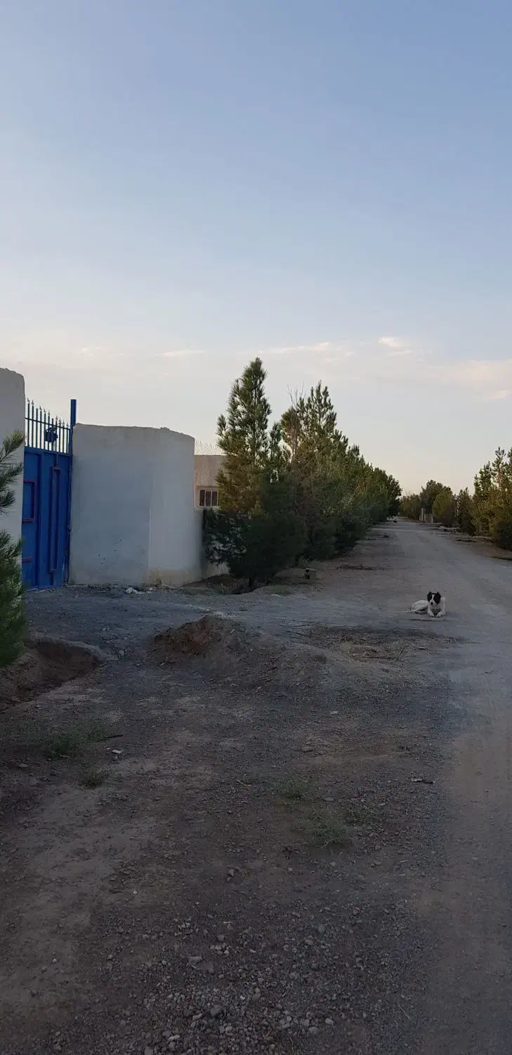 باغ ۲۰۰۰ متری روبروی اسنوا با درختان پسته پیوندی|فروش دفتر صنعتی، کشاورزی، تجاری|شاهین‌شهر, مورچه خورت|دیوار
