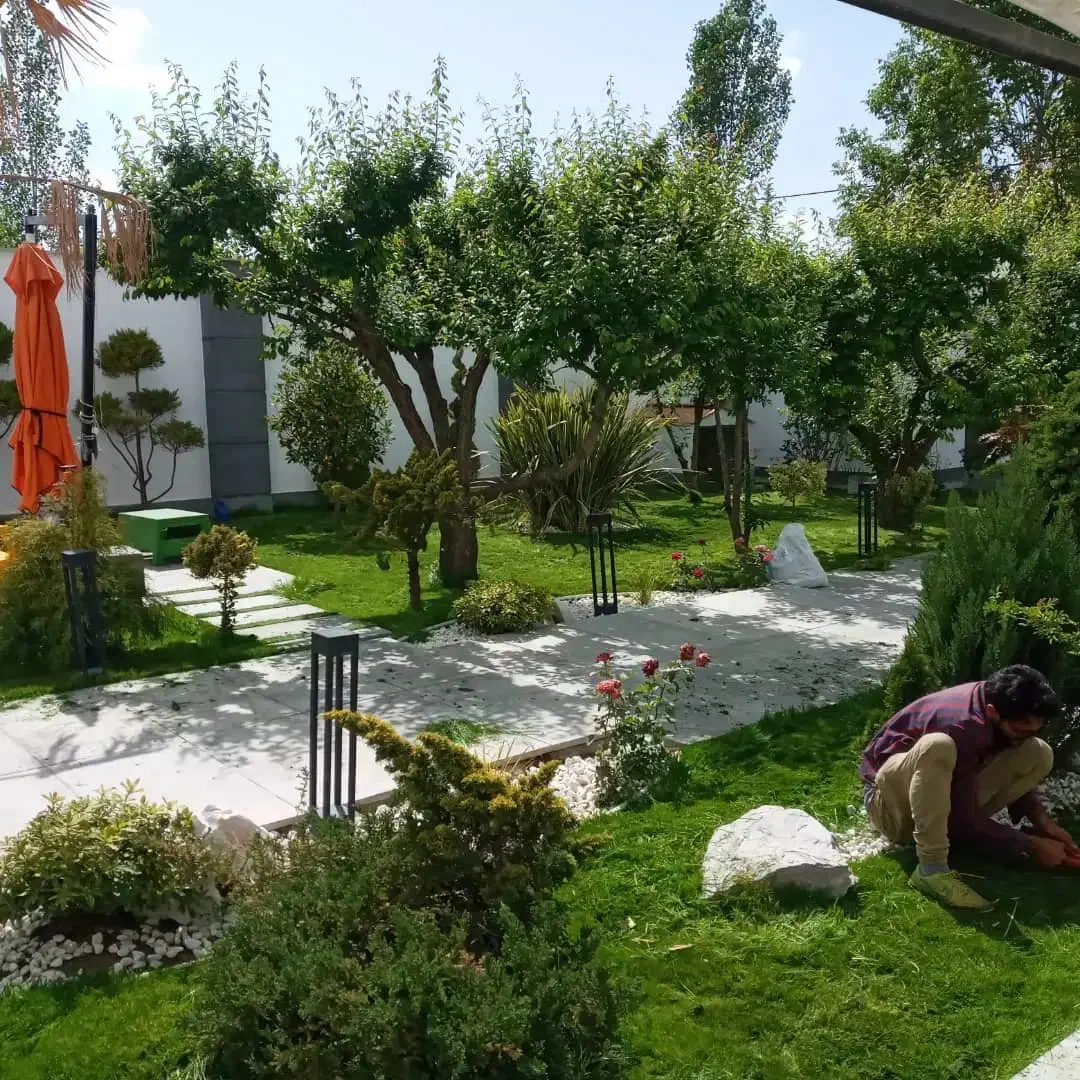 باغبانی .هرس درخت و درختچه .سم پاشی|خدمات باغبانی و درختکاری|کرج, دهقان ویلا|دیوار