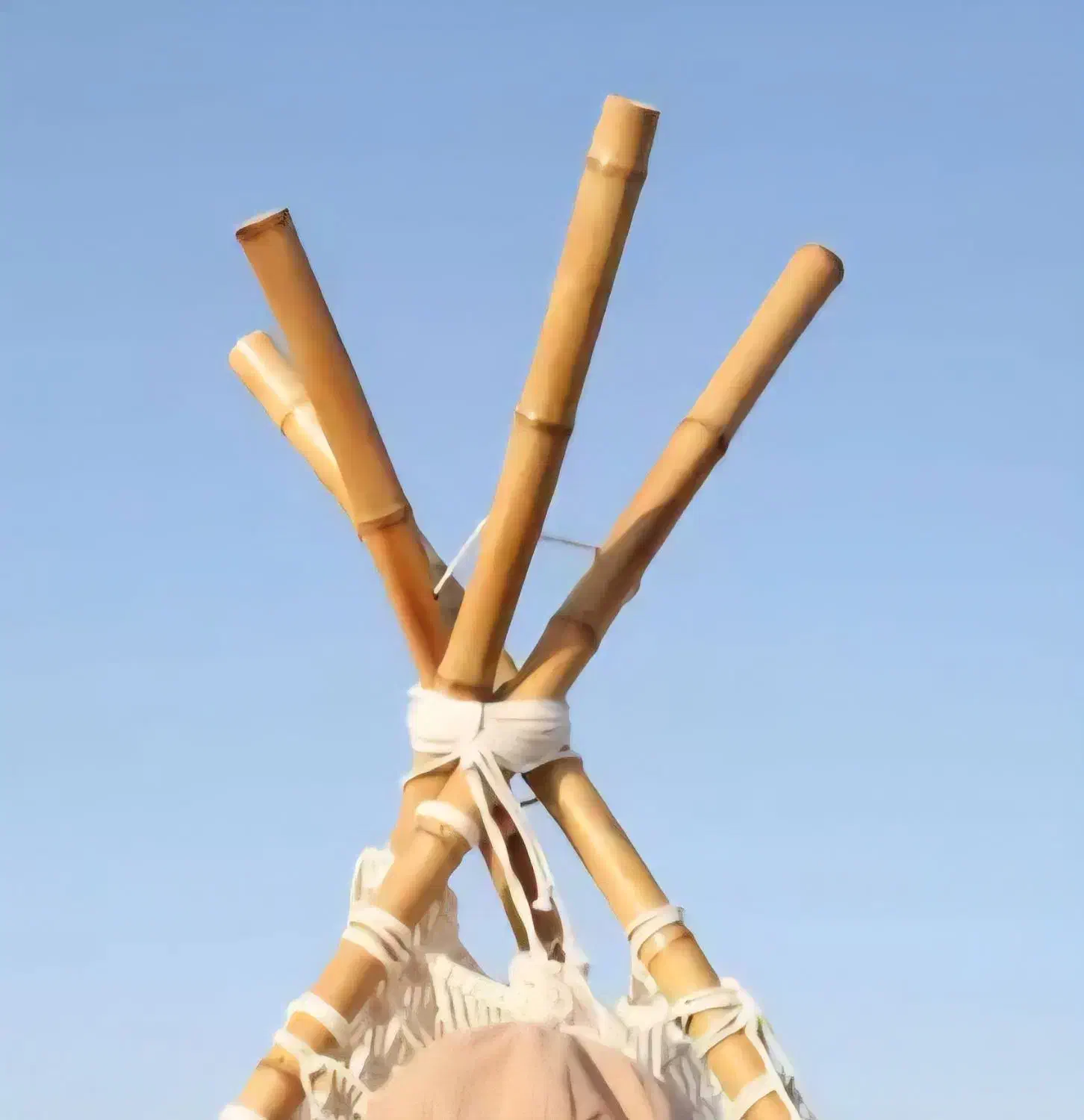 کجا میفروشن|فعالیت داوطلبانه|اشکذر, |دیوار