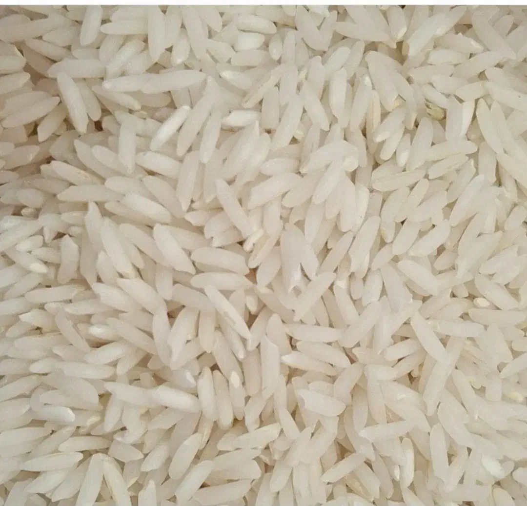 برنج هاشمی درجه یک سورتینگ و بسته بندی شده|خوردنی و آشامیدنی|آستانه اشرفیه, |دیوار