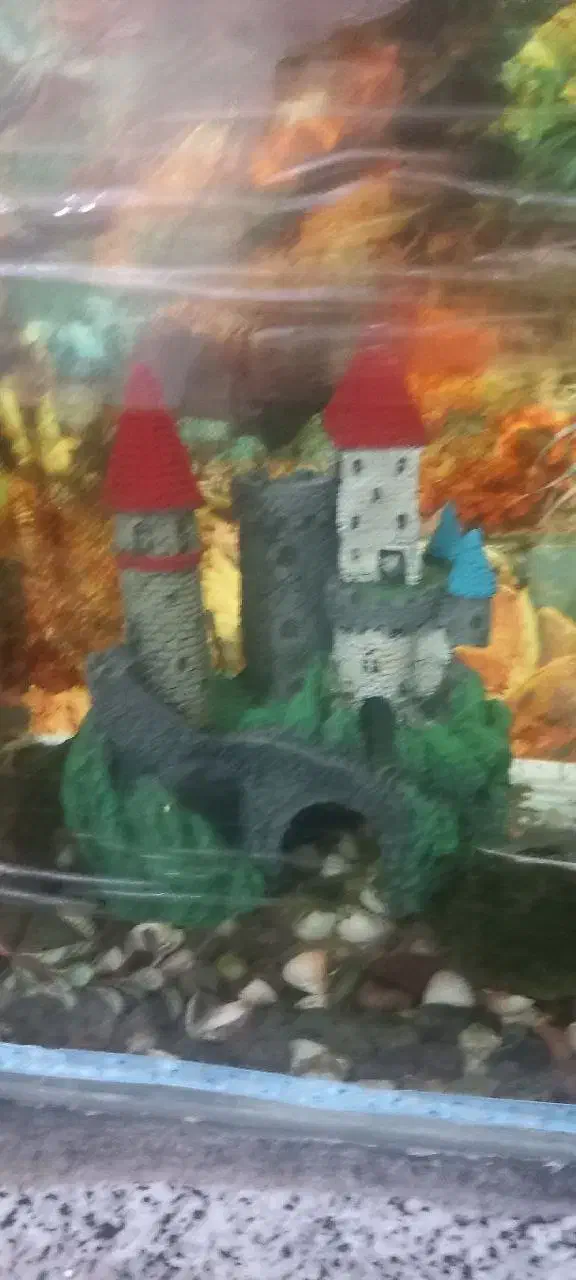 اکواریوم|لوازم جانبی حیوانات|سنندج, |دیوار