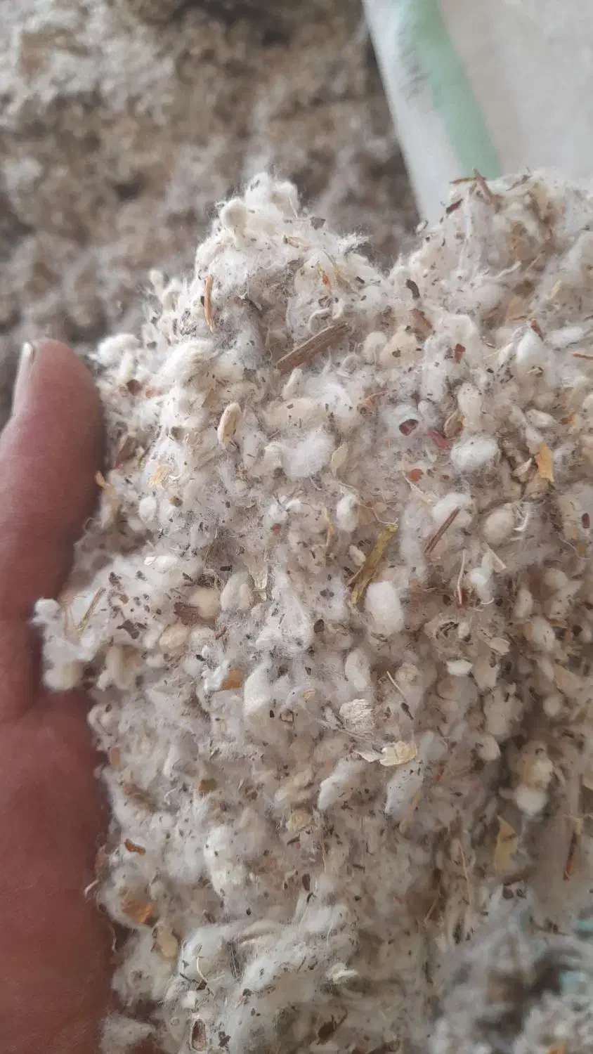 پنبه دانه مبلی|عمدهفروشی|اصفهان, پوریای ولی|دیوار