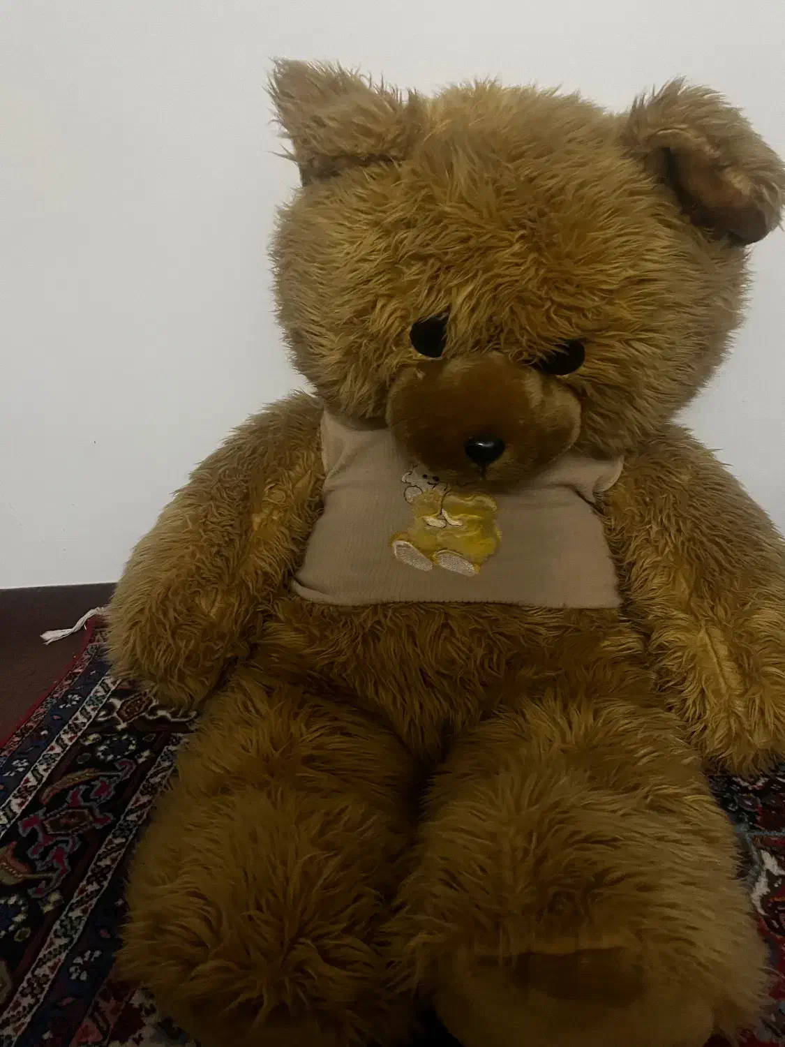 خرس قهوه ای|اسباب‌‌بازی|اردبیل, |دیوار