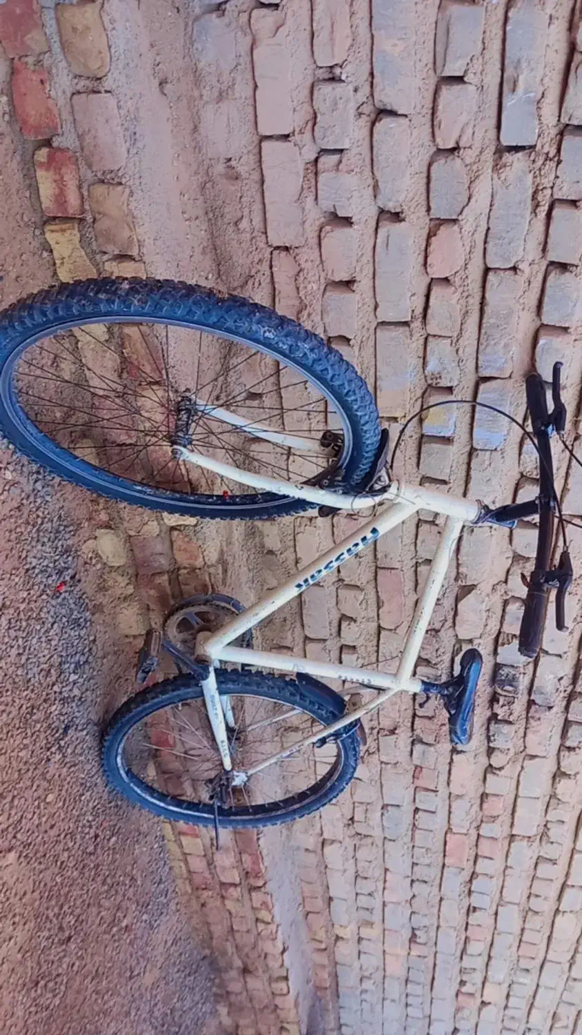 دوچرخه 26آساک 4انگشت قیمت پول لازم|دوچرخه، اسکیت، اسکوتر|زابل, |دیوار