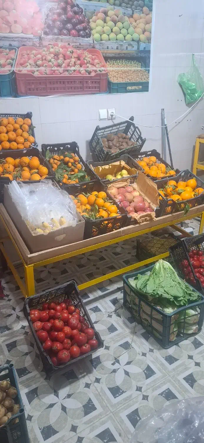 طبق میوه فروشی  دو عدد|فروشگاه و مغازه|کرمانشاه, |دیوار