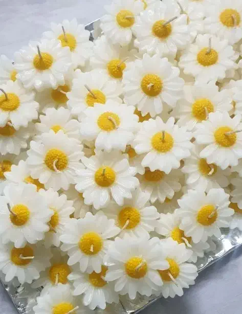 شمع دستساز گل مارگاریت بابونه گیفت عروس|صنایع دستی و سایر لوازم تزئینی|شیراز, قدوسی شرقی|دیوار