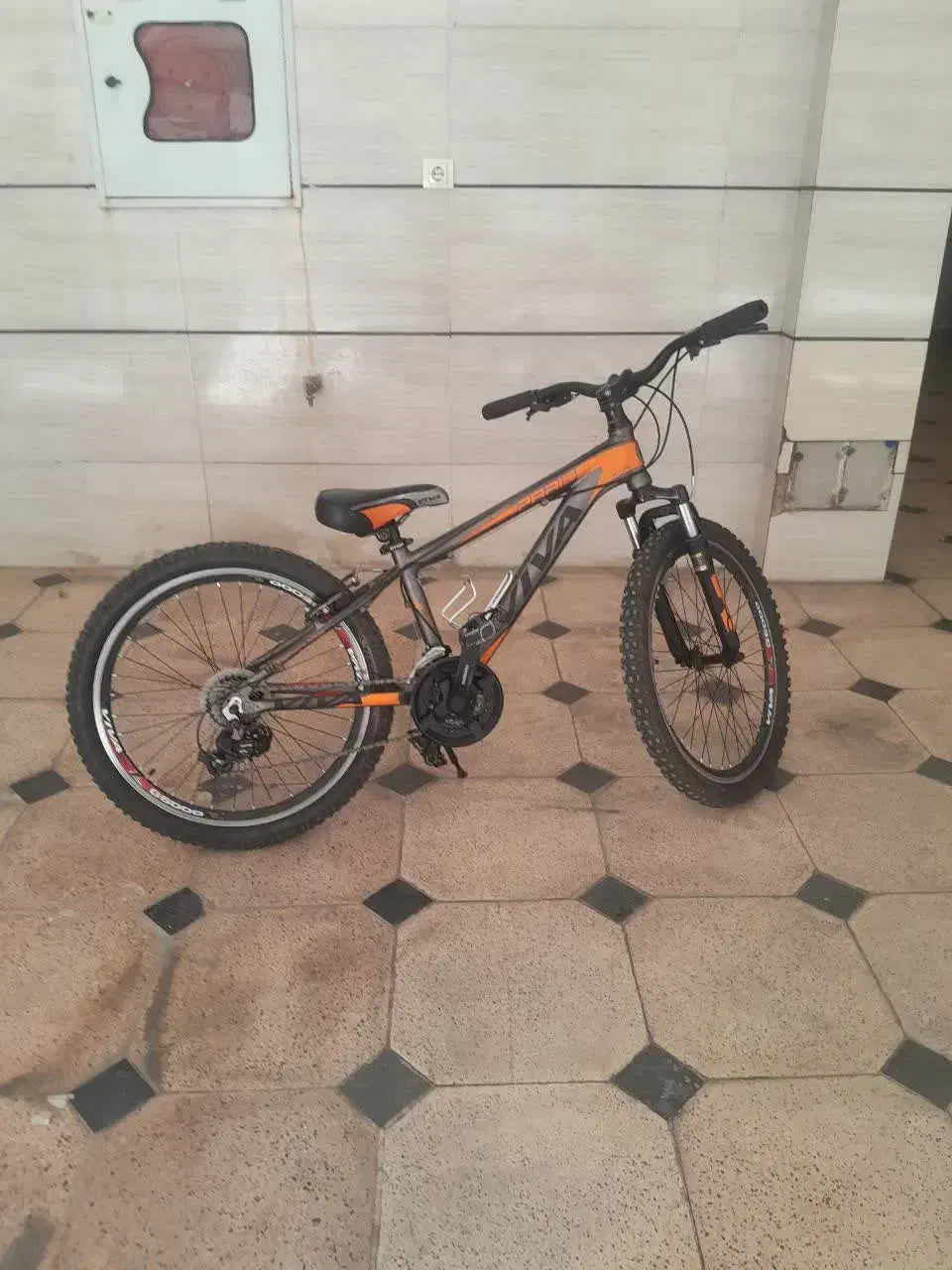 دوچرخه 24 ویوا اصل|دوچرخه، اسکیت، اسکوتر|همدان, |دیوار