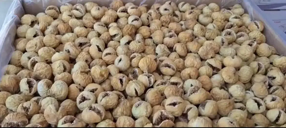 انجیر(خرید مستقیم از باغدار)|خوردنی و آشامیدنی|اصفهان, جلفا|دیوار