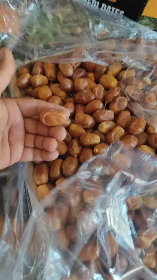 خرما زاهدی|خوردنی و آشامیدنی|تهران, شهرک چیتگر|دیوار