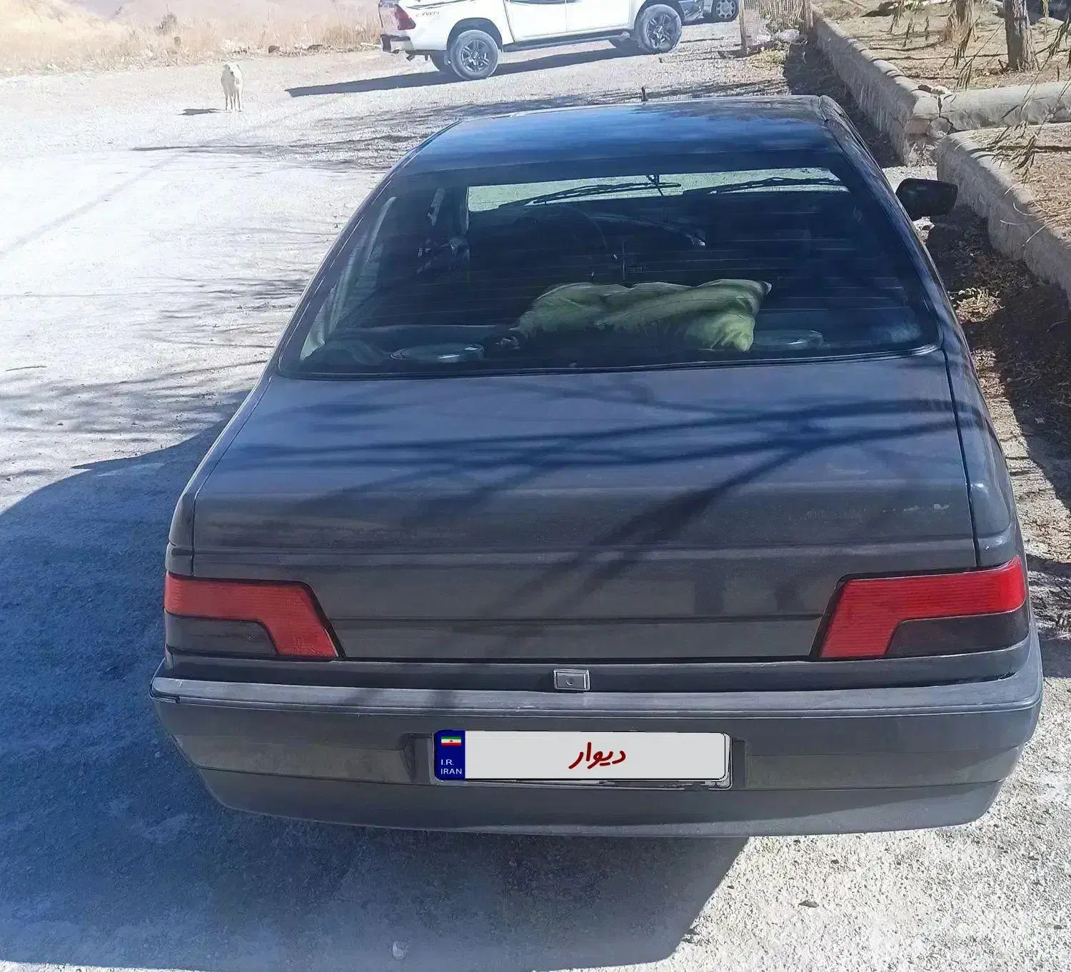 فروش پژو ۴۰۵|خودرو سواری و وانت|زنجان, |دیوار