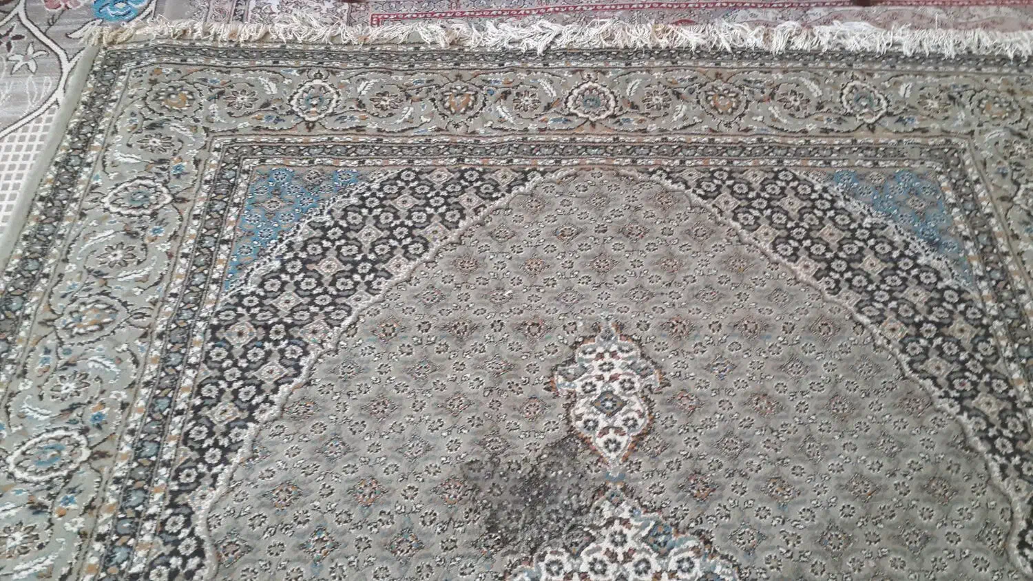 فرش 6متری|فرش|کرمانشاه, |دیوار