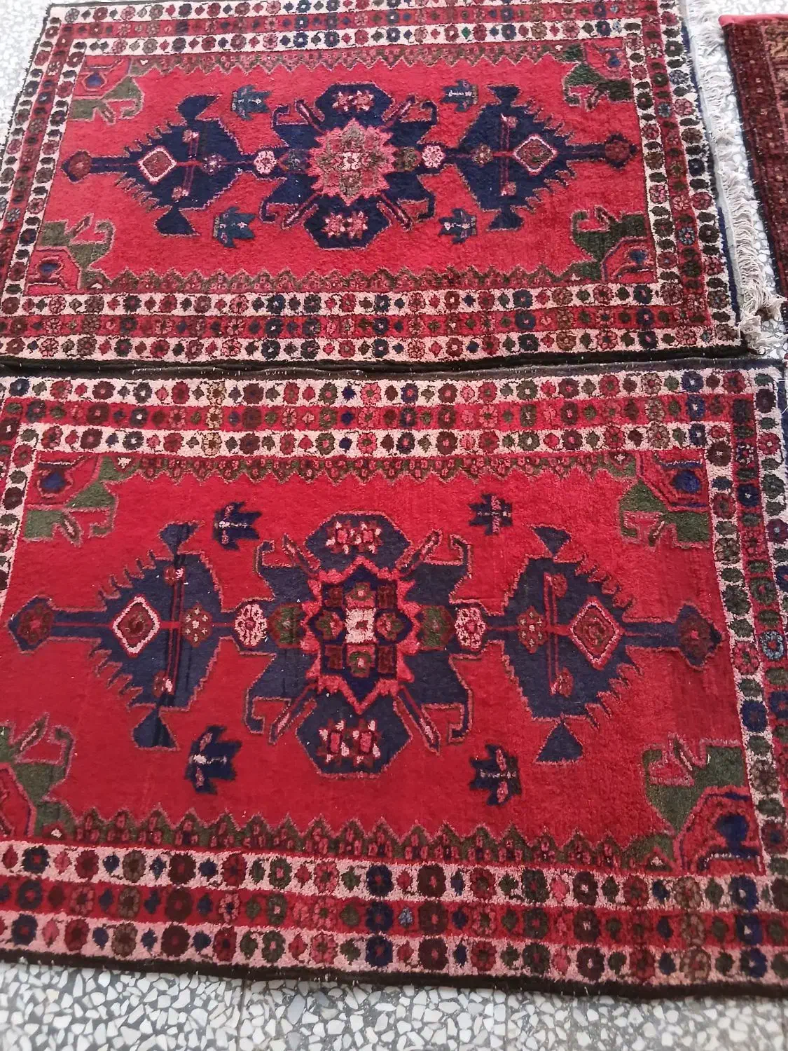 سه عدد فرش دست باف|فرش|بوئین زهرا, |دیوار