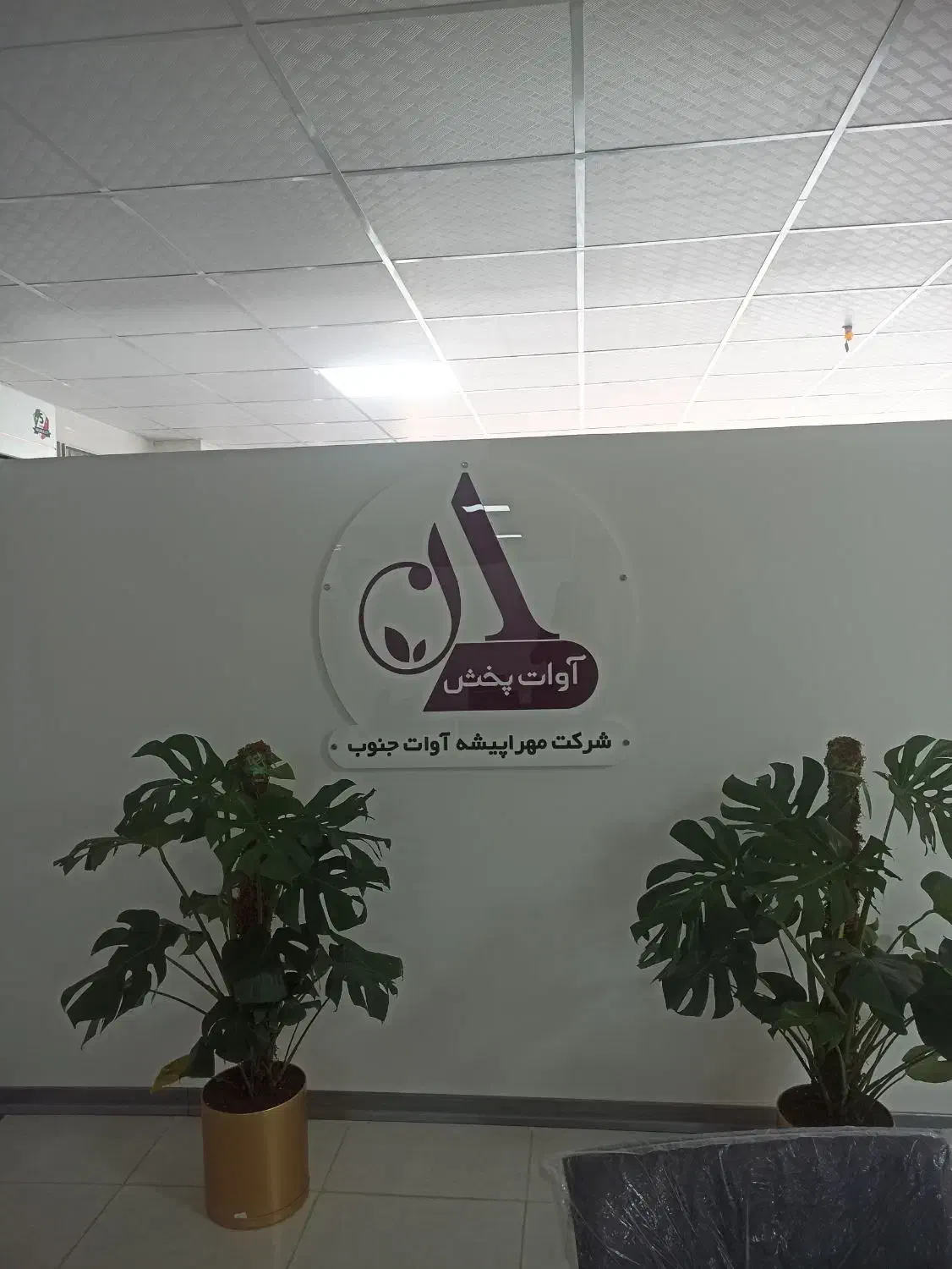 بازاریاب بهداشتی|استخدام بازاریابی و فروش|شیراز, شهرک گلها|دیوار