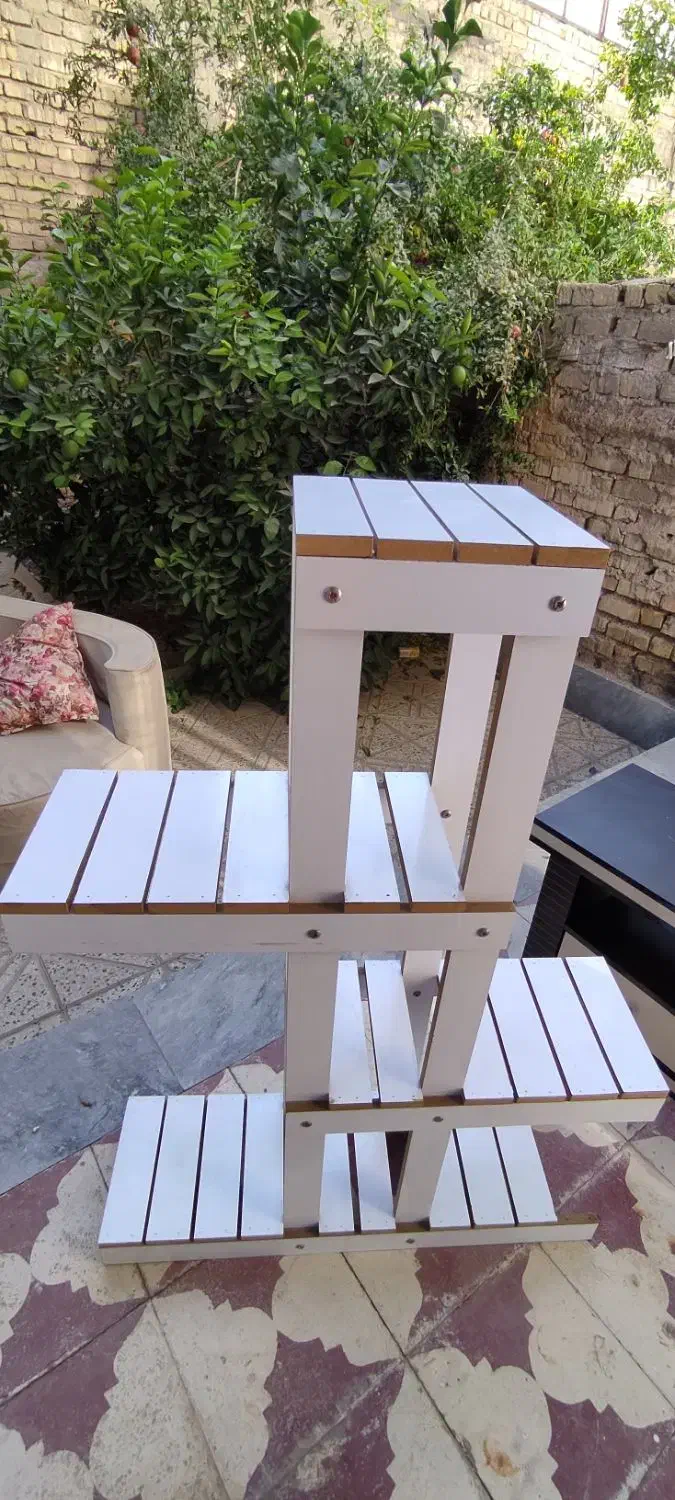 استند گل|گل و گیاه طبیعی|شیراز, کوشک میدان|دیوار