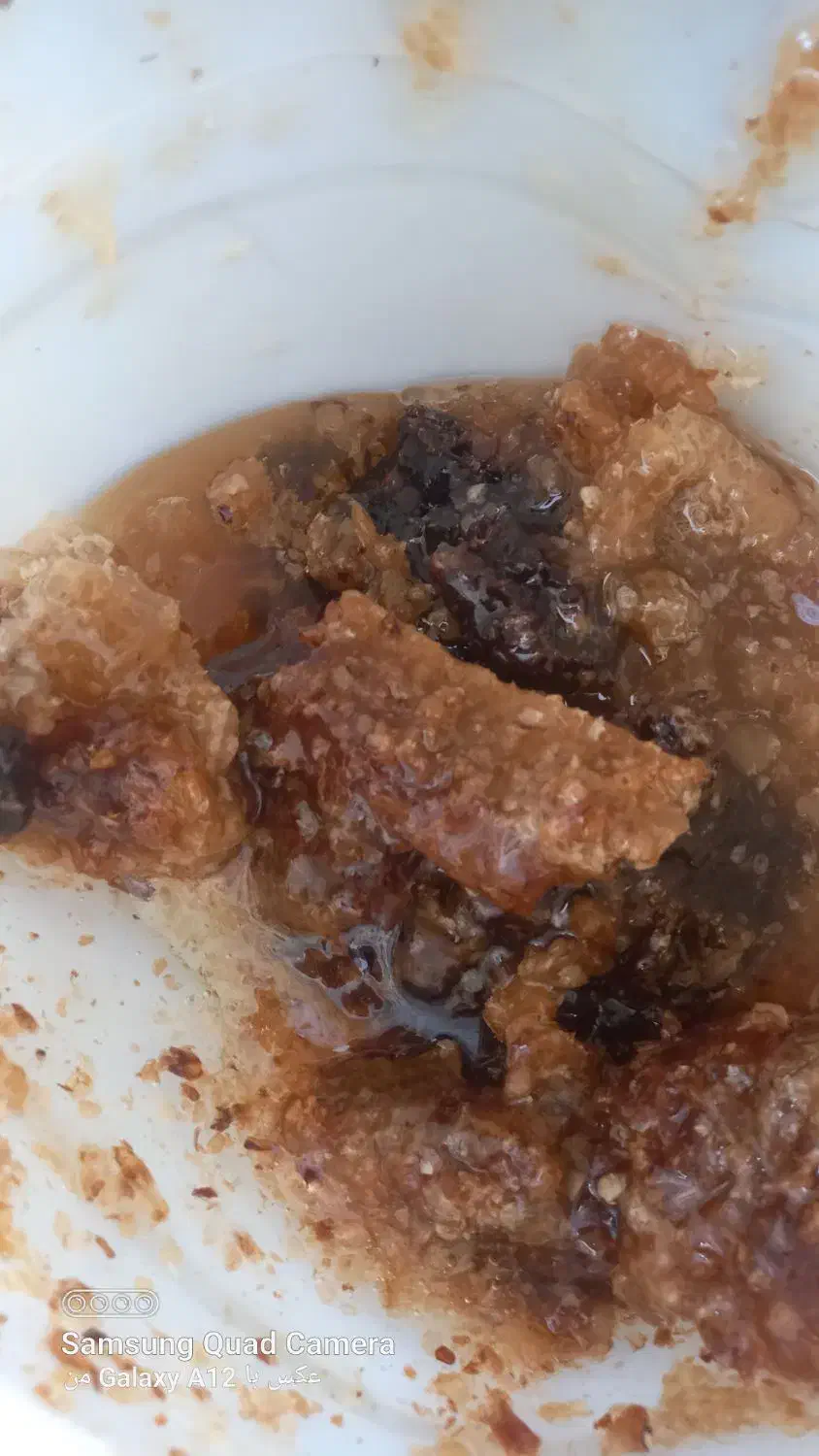 عسل طبیعی|خوردنی و آشامیدنی|کوهرنگ, |دیوار