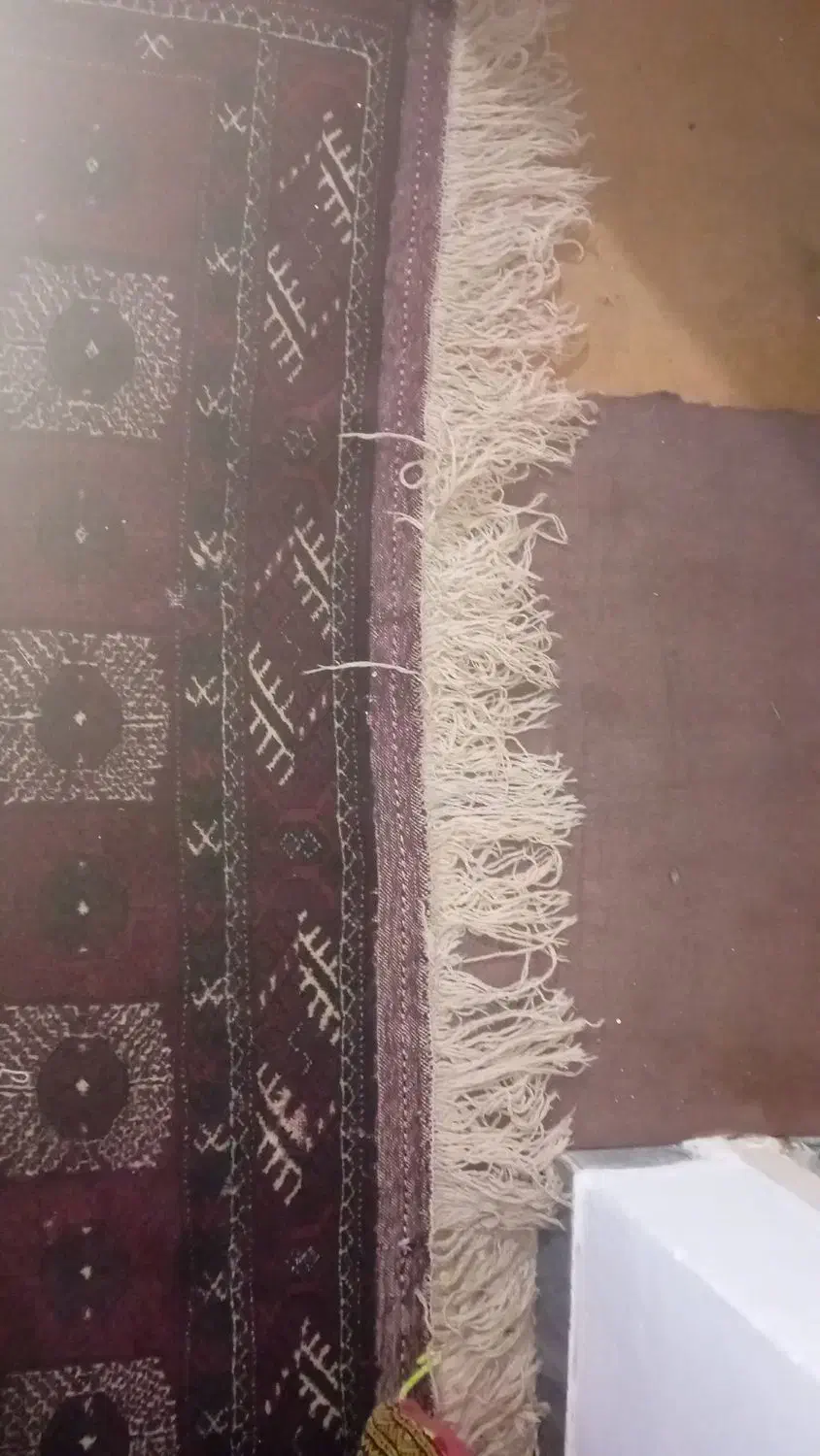قالی دست بافت قدیمی|فرش|گرگان, |دیوار
