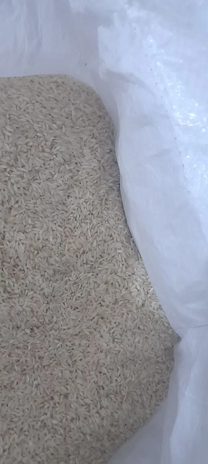 برنج محلی صدری و علی کاظمی|خوردنی و آشامیدنی|الشتر, |دیوار