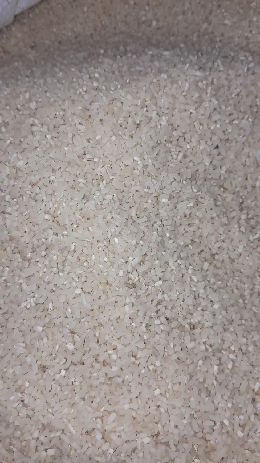 برنج نیم دانه|خوردنی و آشامیدنی|دشتابی, |دیوار