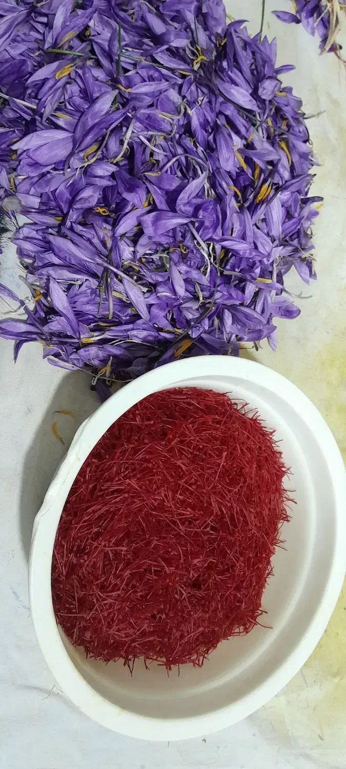 زعفران|خوردنی و آشامیدنی|تربت جام, جامی|دیوار